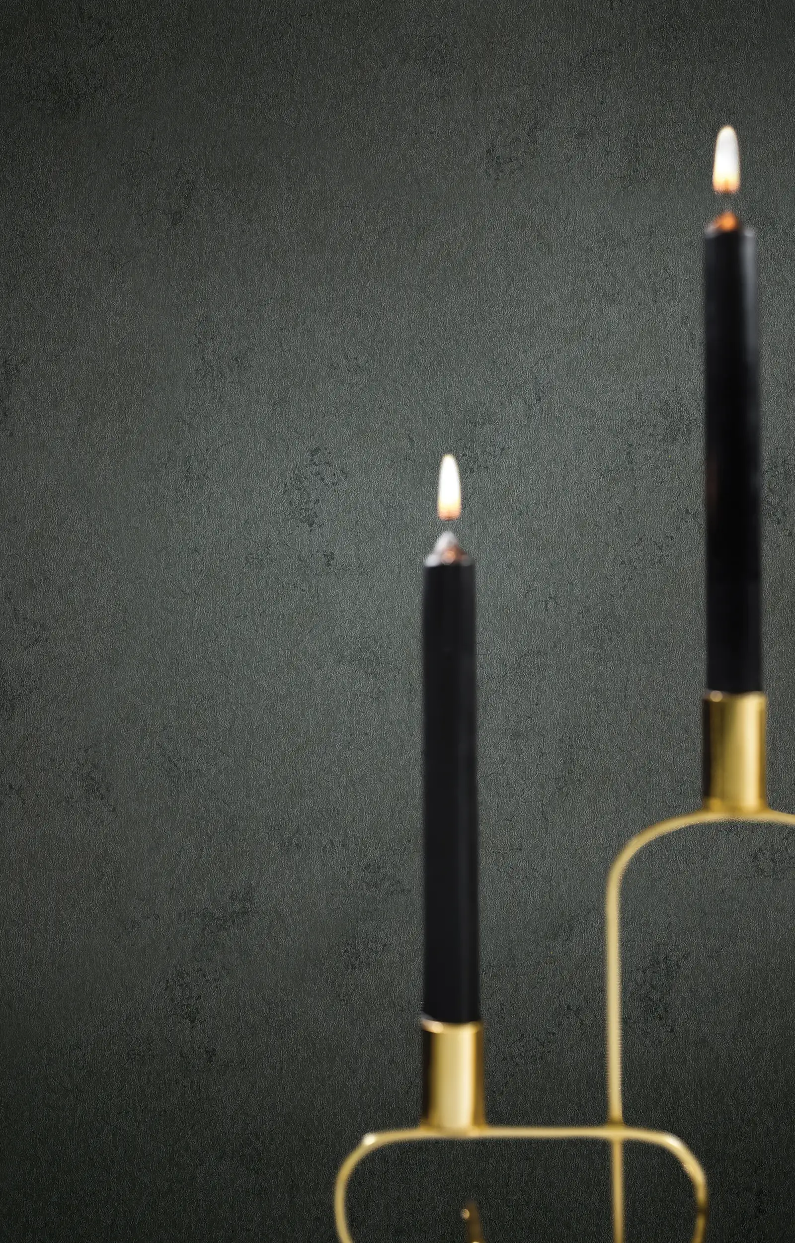 ArchiAdria 70 - Dezen