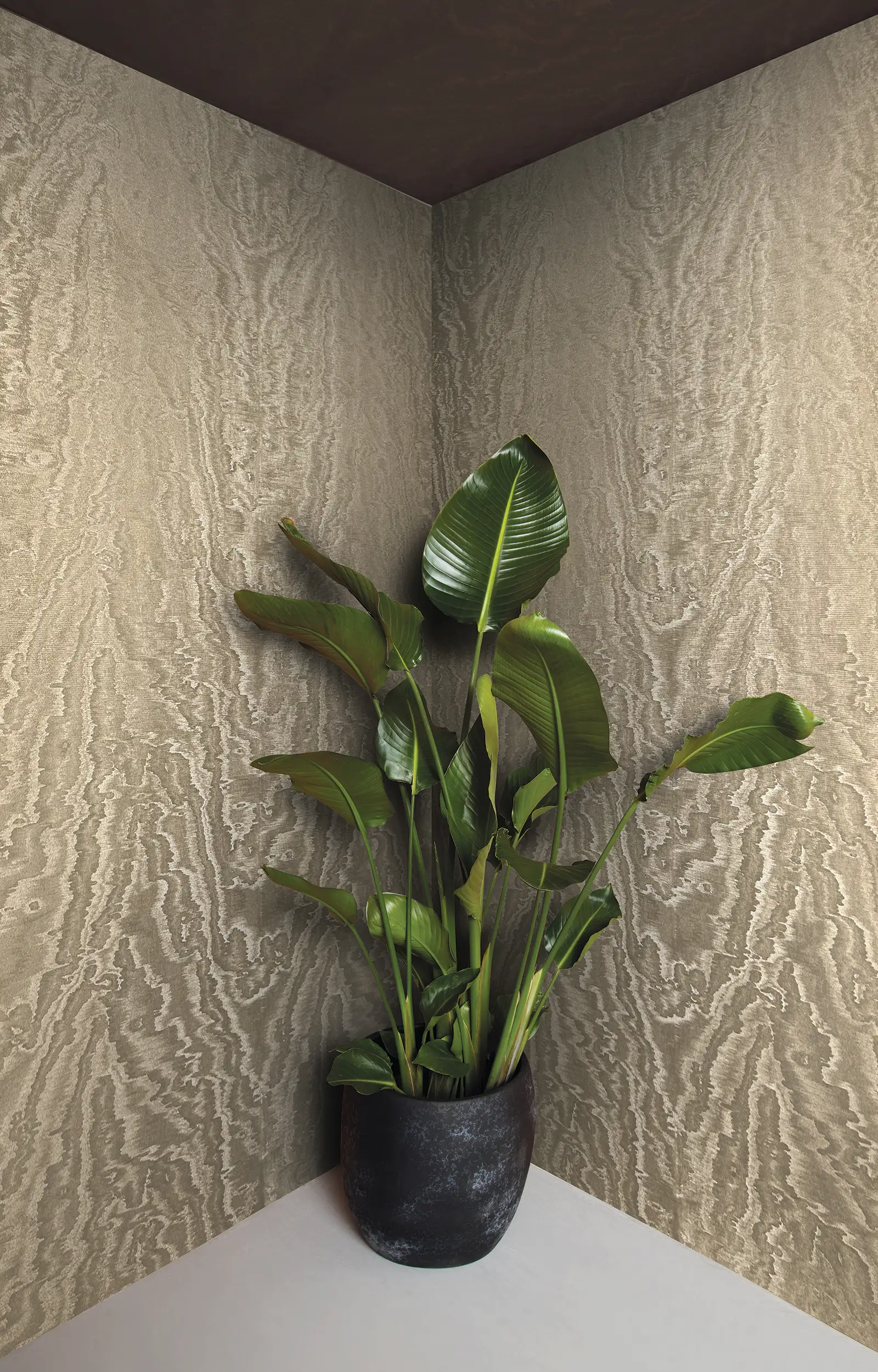 ArchiAdria 70 - Dezen