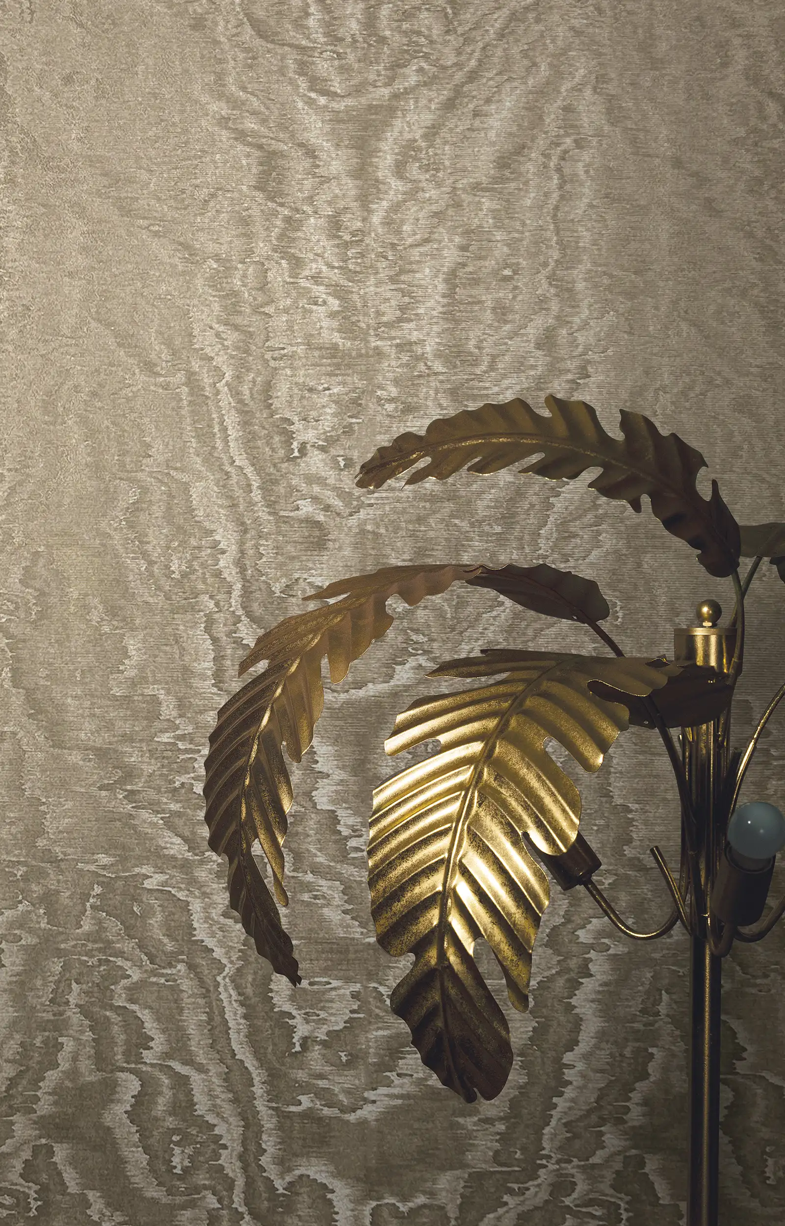 ArchiAdria 70 - Dezen