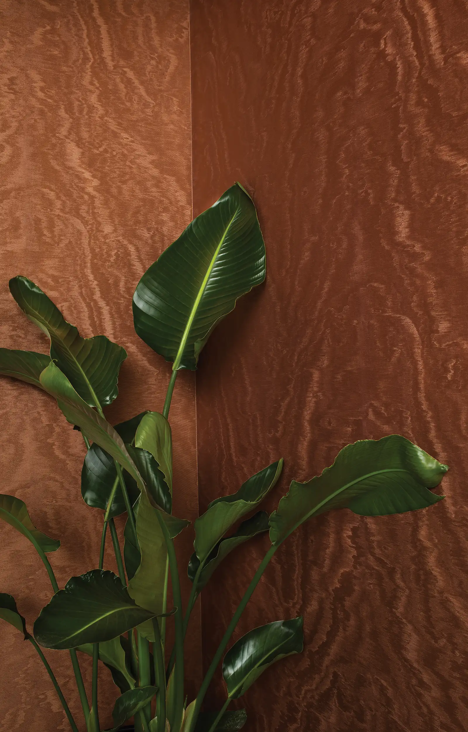 ArchiAdria 70 - Dezen