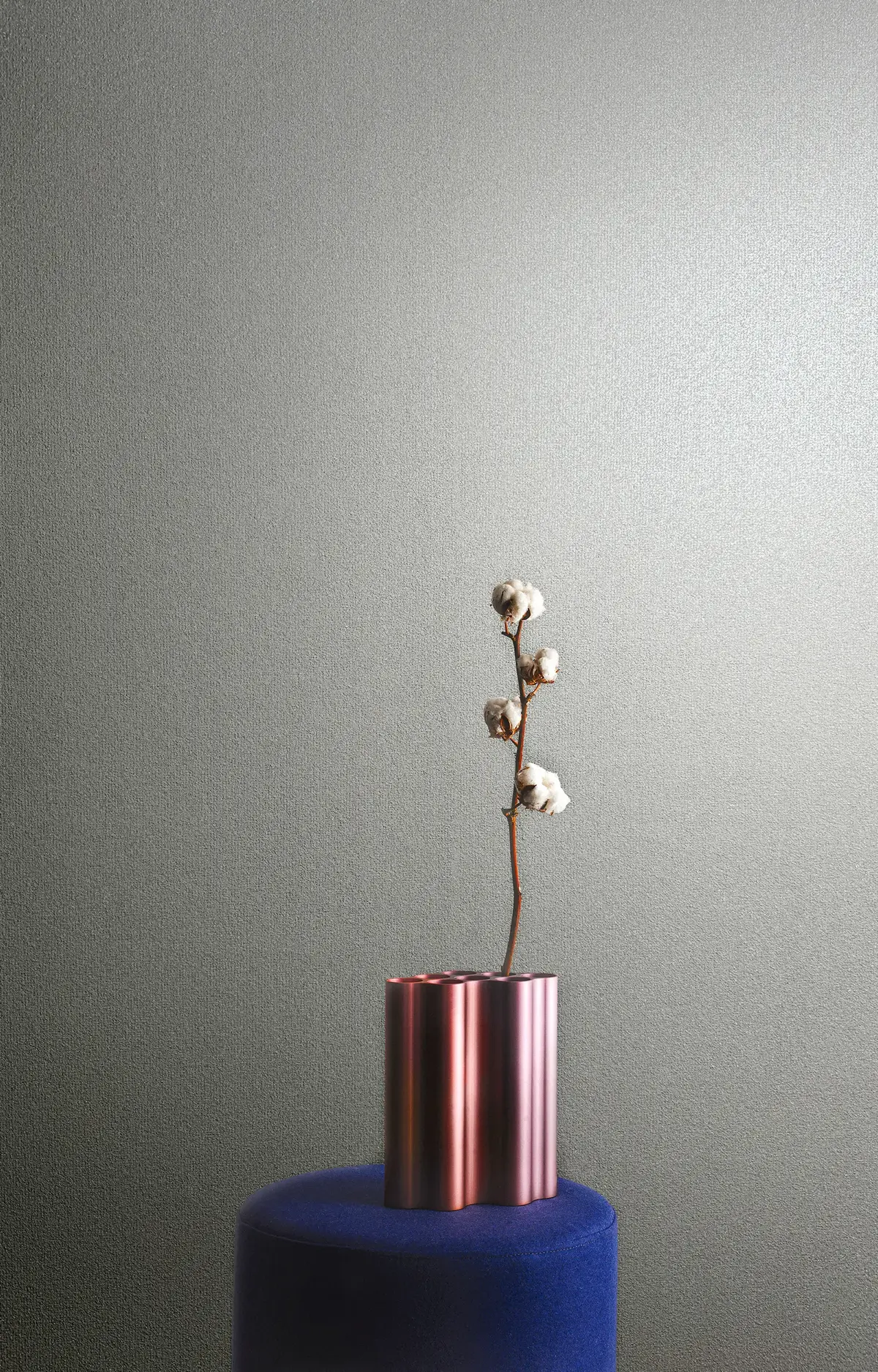 ArchiAdria 70 - Dezen