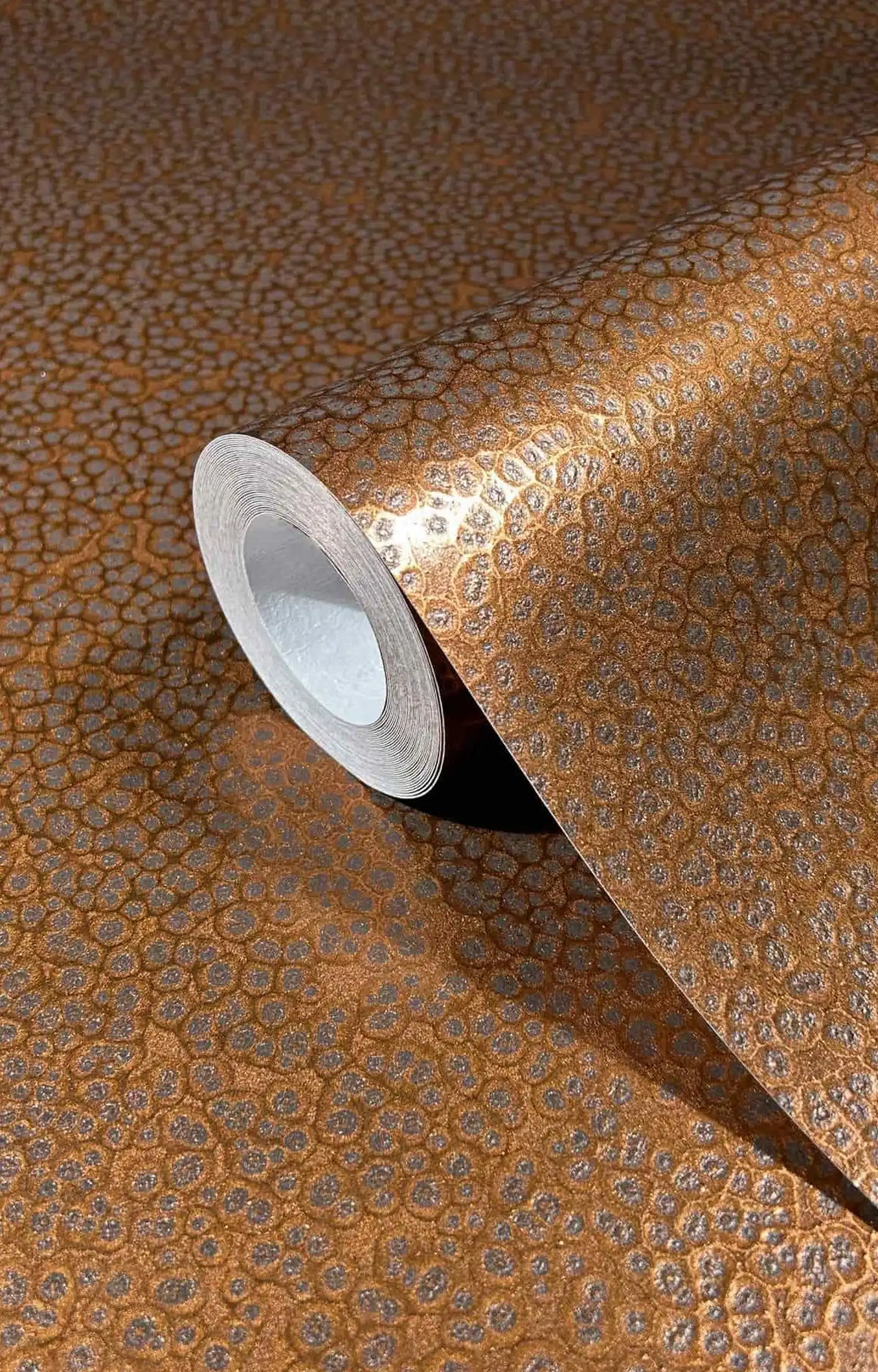 ArchiAdria 70 - Dezen