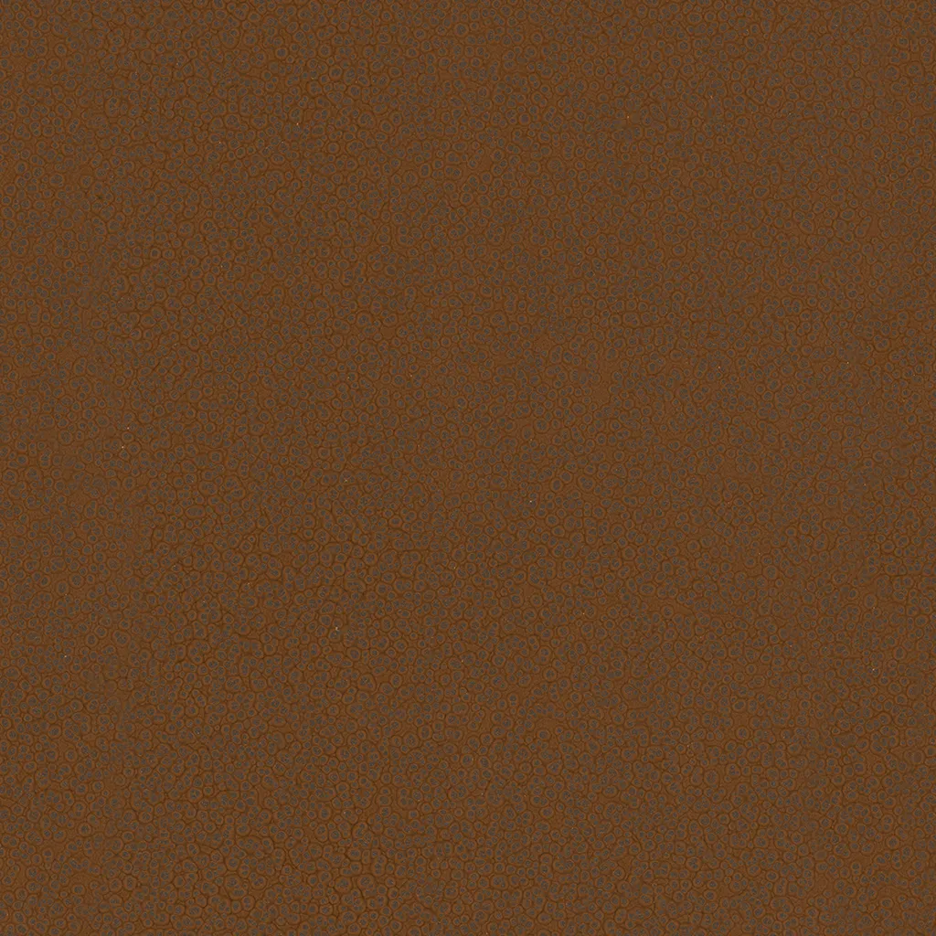 ArchiAdria 70 - Dezen