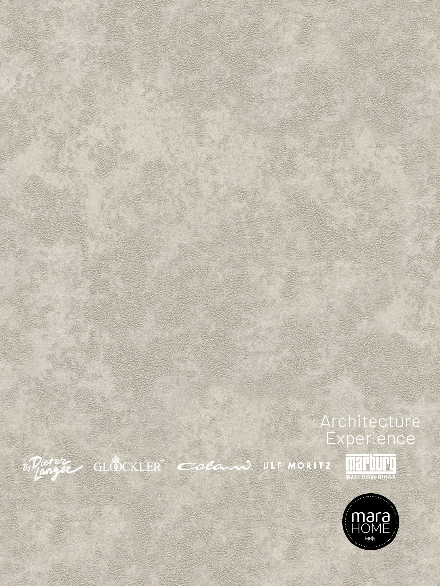 ARCHITECTURE EXPERIENCE