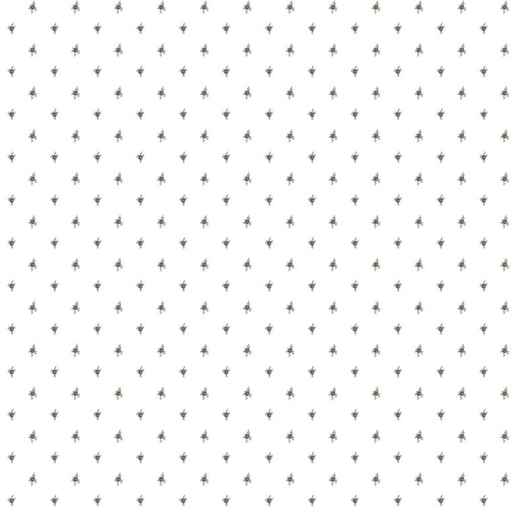 BLOOMING GARDEN - Dezen