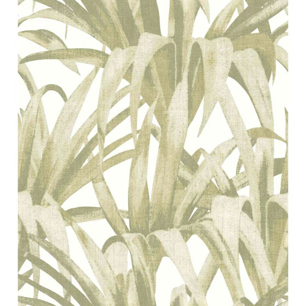 BOTANY HOUSE - Dezen