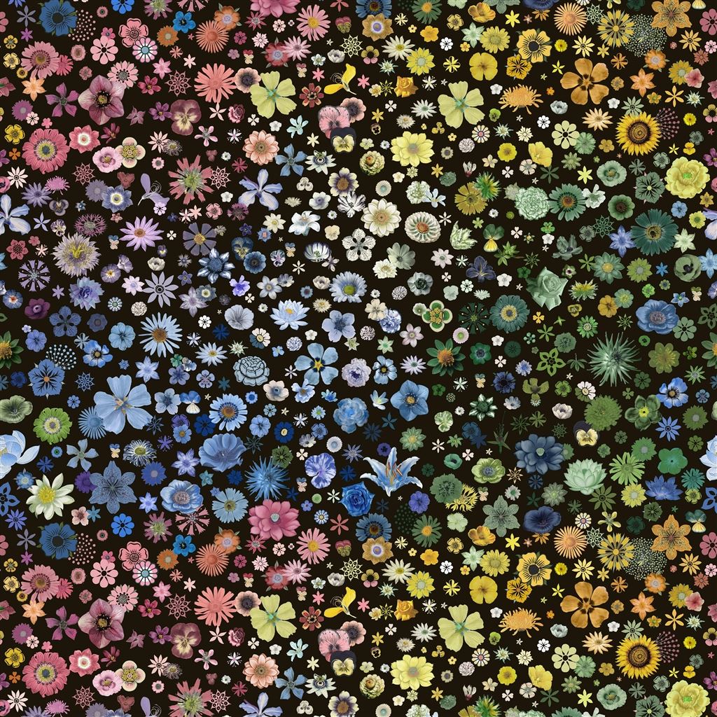 DESIGNER GUILD™ CL - Dezen