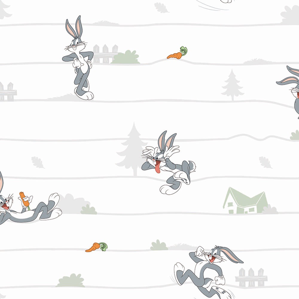 JUNACI IZ CRTANIH FILMOVA - Dezen