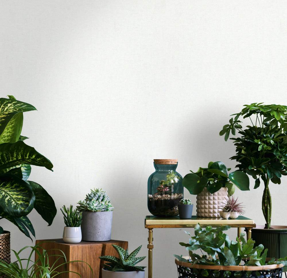 NOVAMUR JACKIE - Dezen