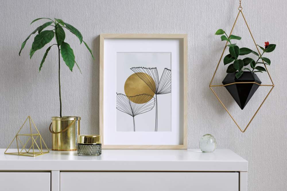 NOVAMUR JACKIE - Dezen