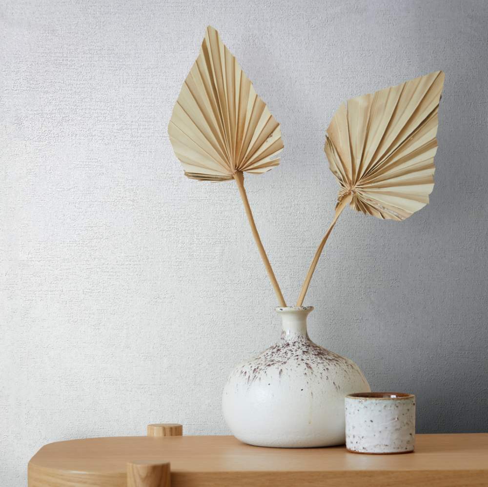 NOVAMUR JACKIE - Dezen