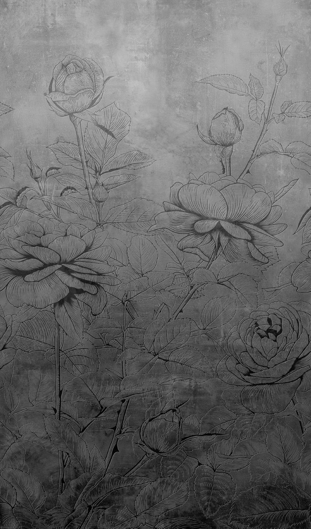 NOVAMUR JACKIE - Dezen