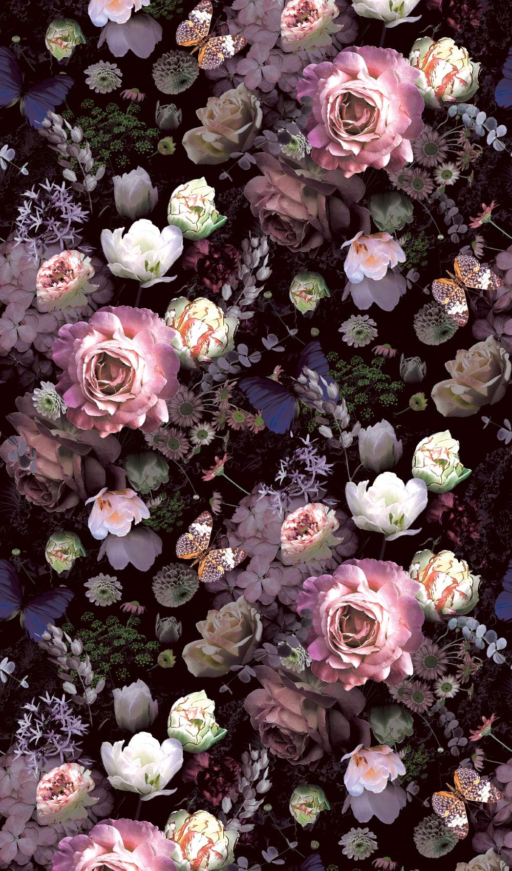 NOVAMUR JACKIE - Dezen