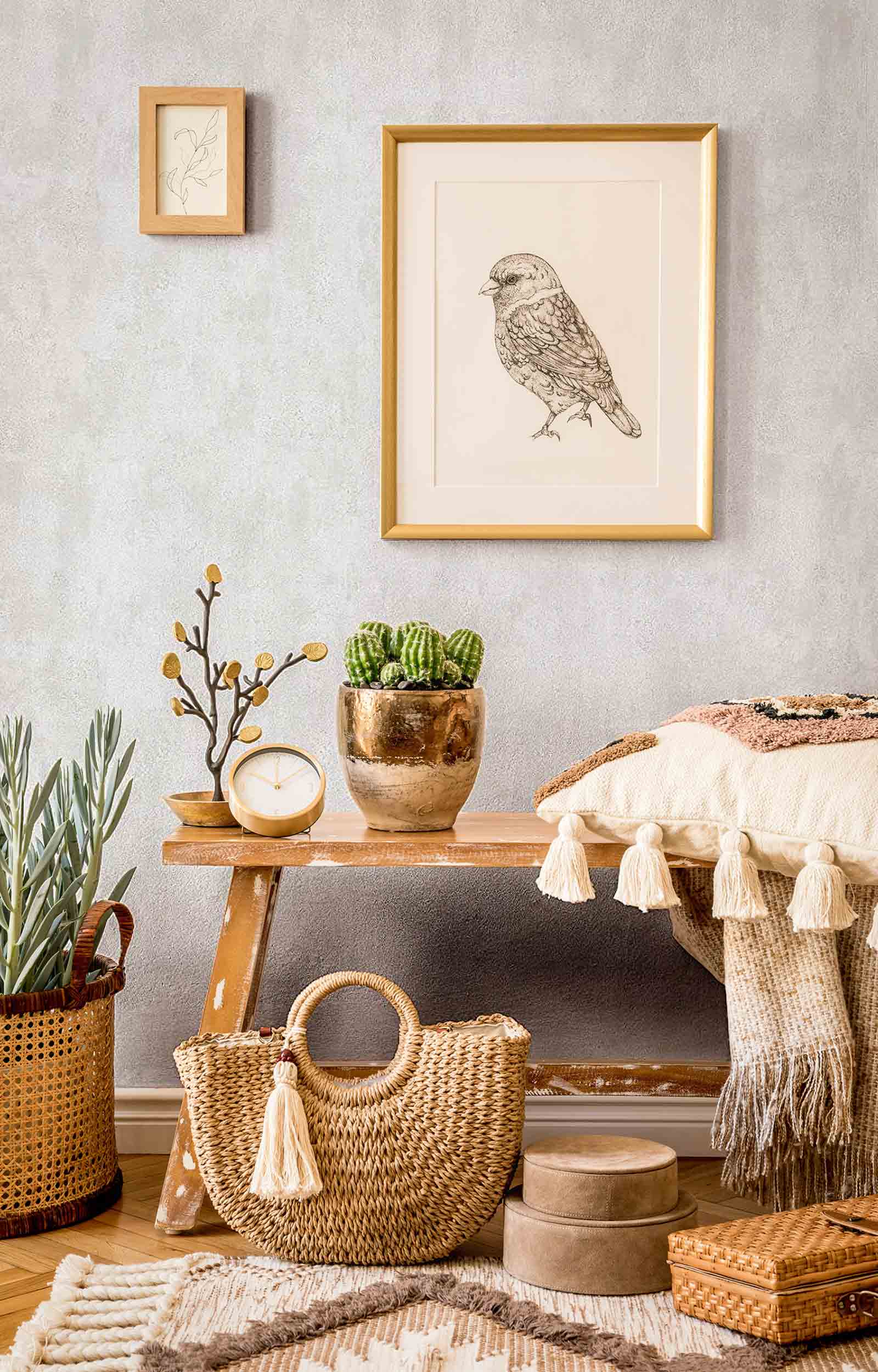 Novamur Kyle - Dezen