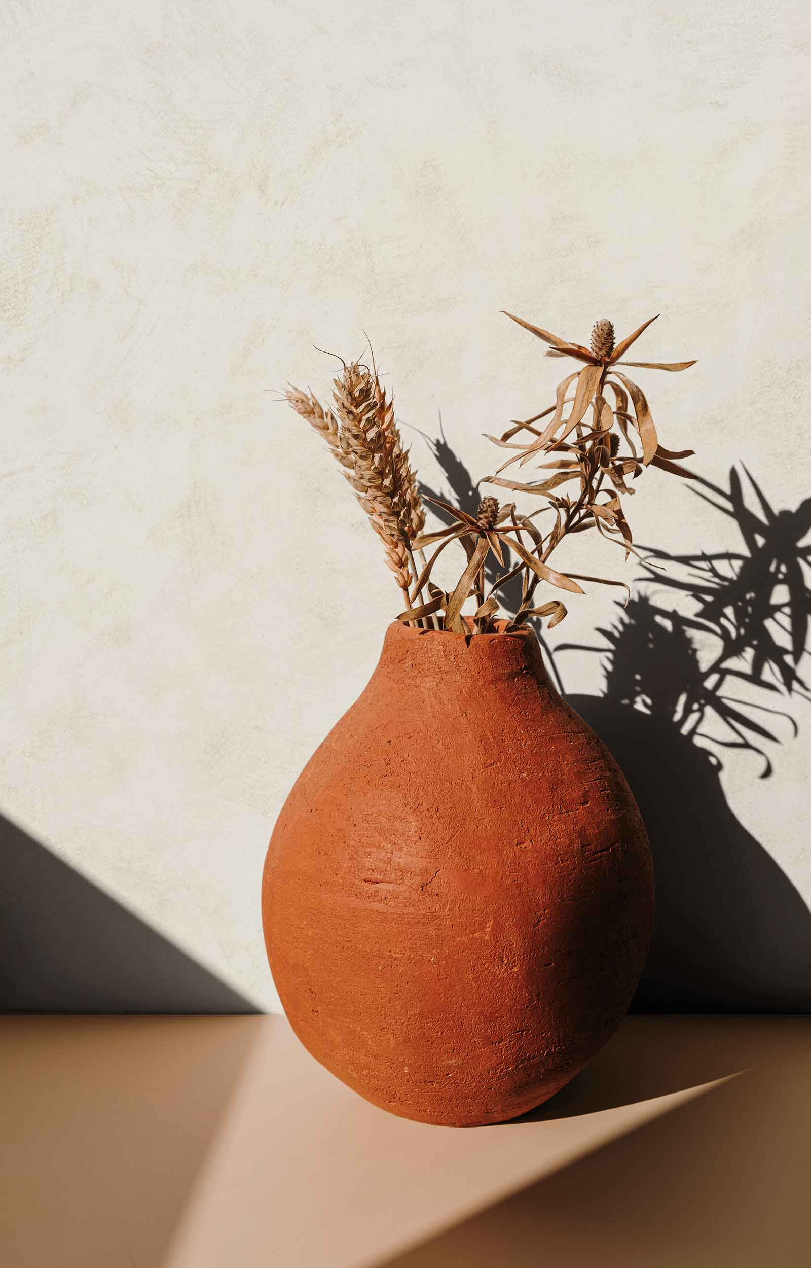 Novamur Kyle - Dezen