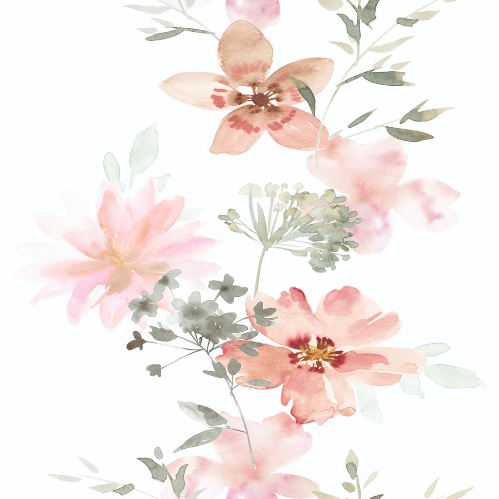 Novamur Kyle - Dezen