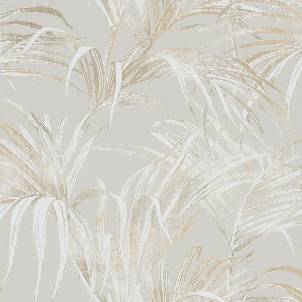 Novamur Kyle - Dezen