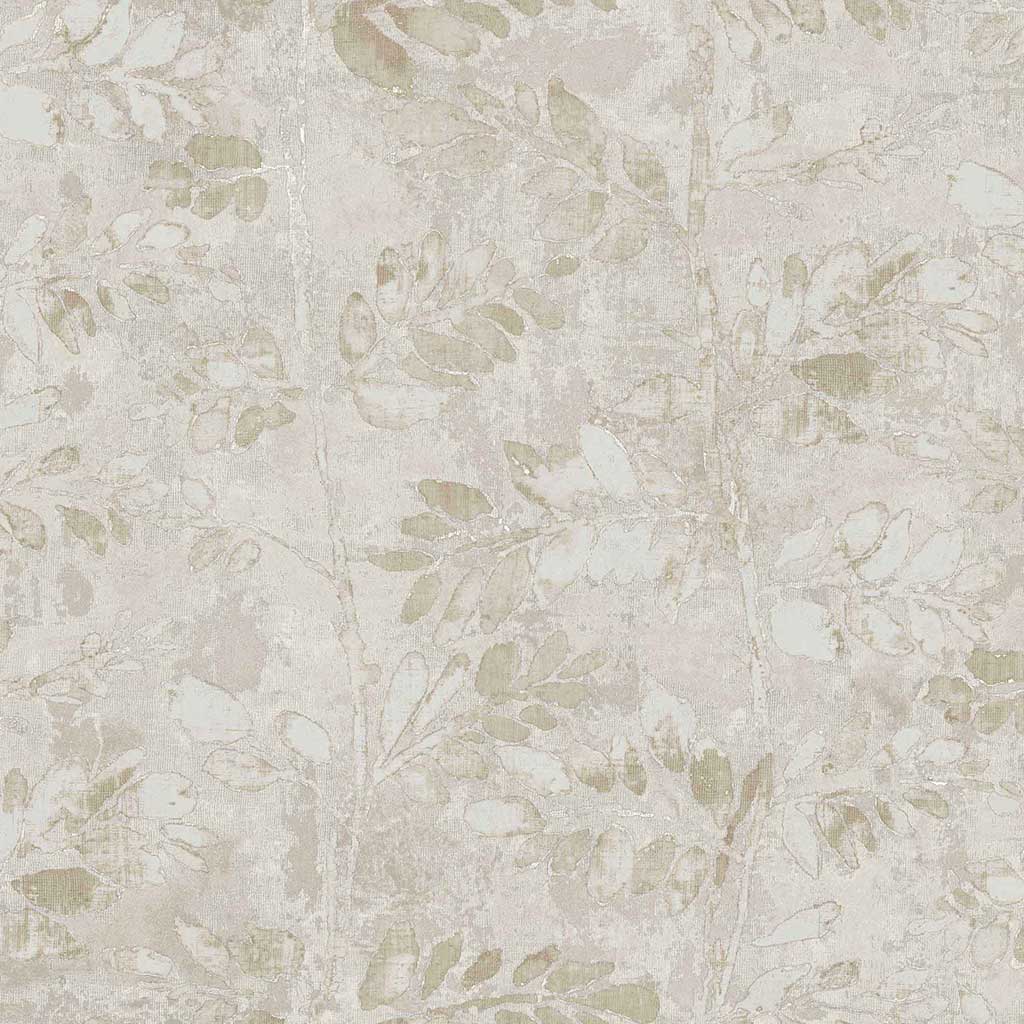 PARATO TERRA - Dezen