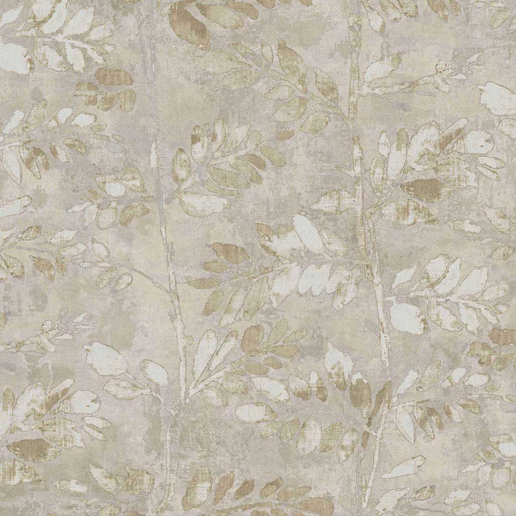 PARATO TERRA - Dezen