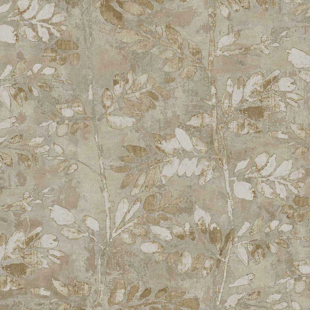 PARATO TERRA - Dezen