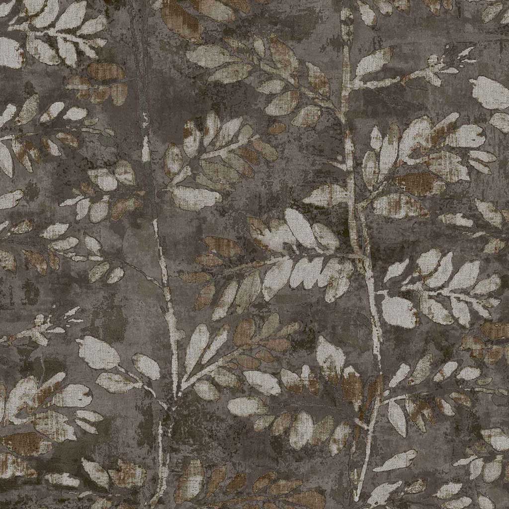 PARATO TERRA - Dezen