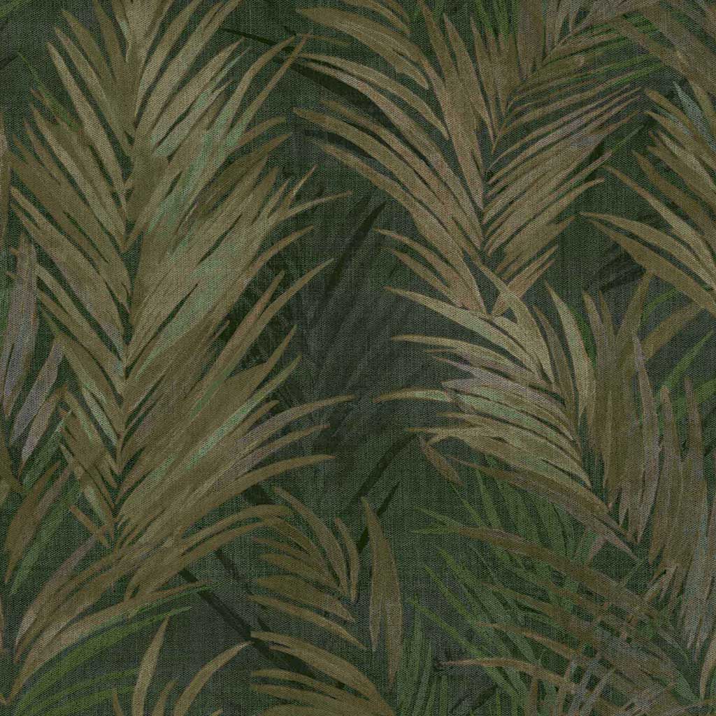 PARATO TERRA - Dezen