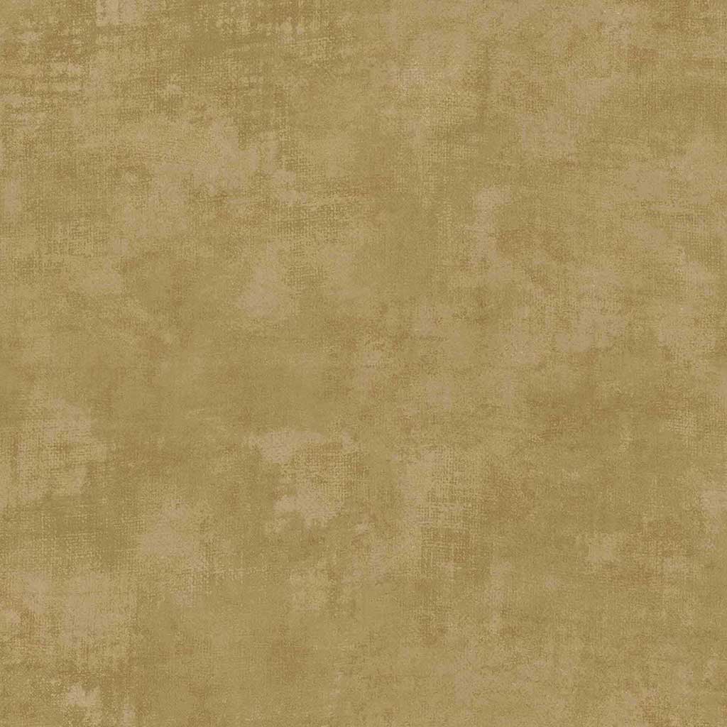 PARATO TERRA - Dezen