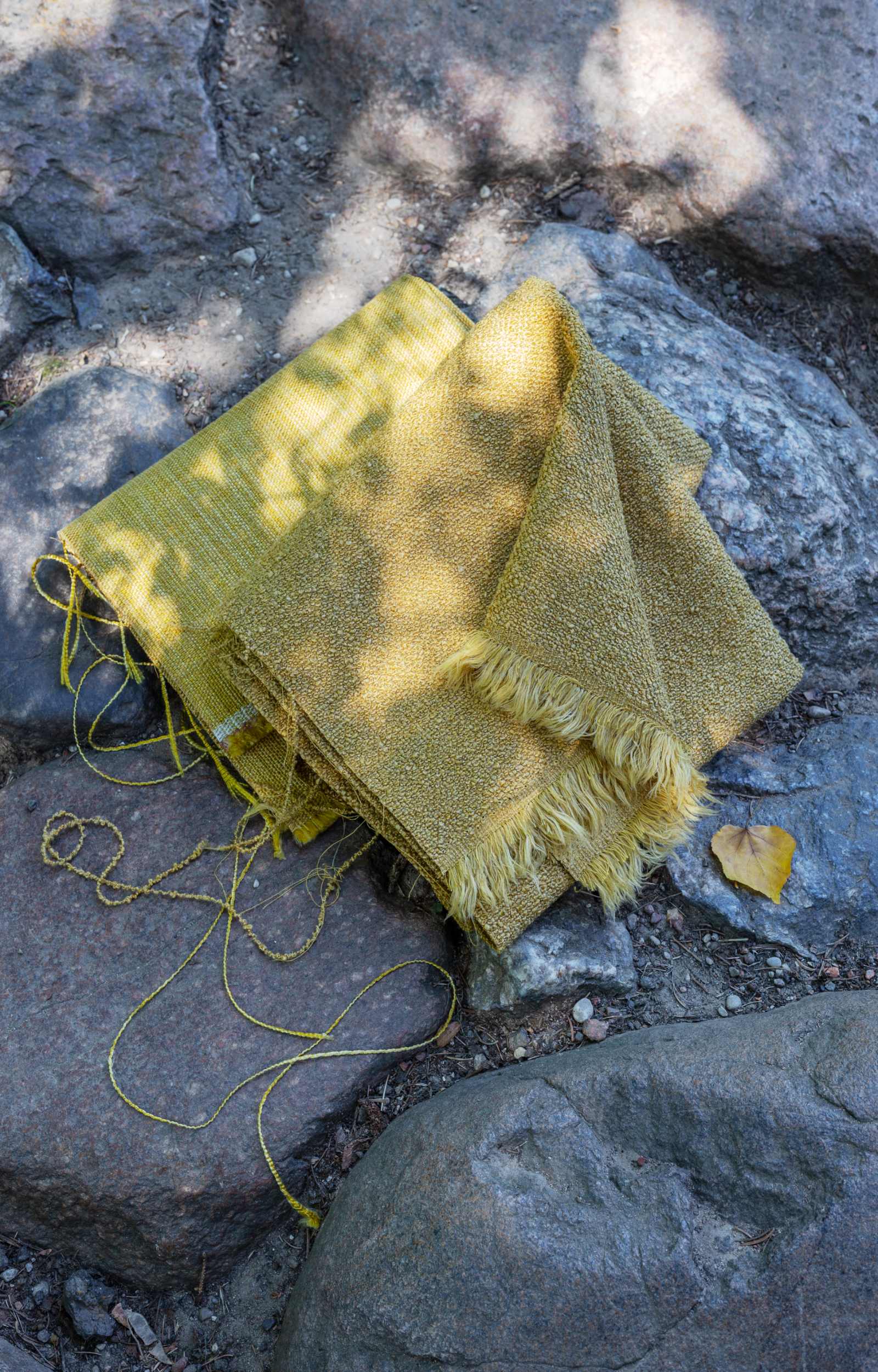 SAVE THE PLANET - Dezen