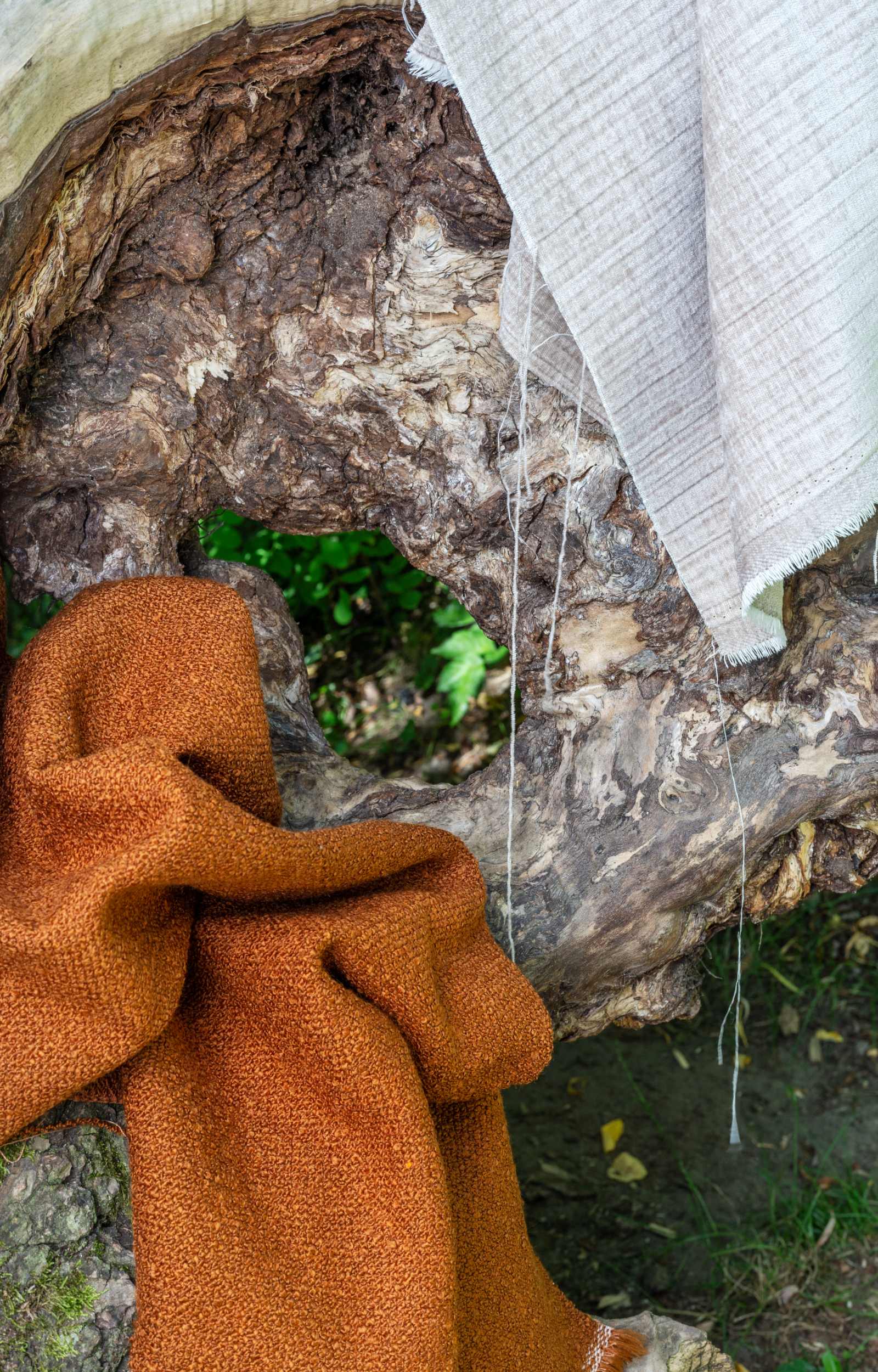 SAVE THE PLANET - Dezen