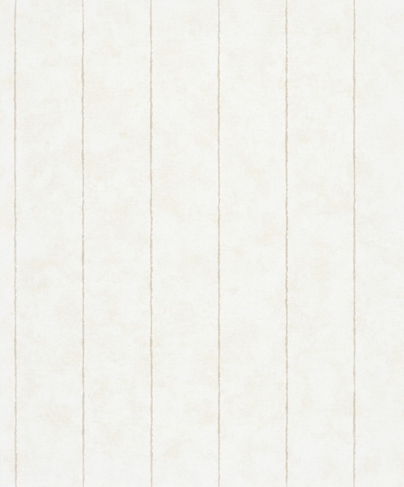 SHADES ICONIC - Dezen