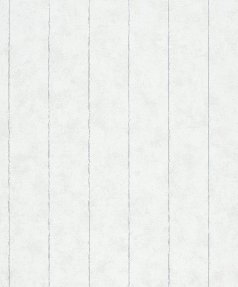 SHADES ICONIC - Dezen