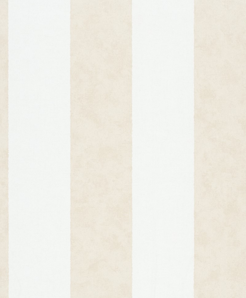 SHADES ICONIC - Dezen