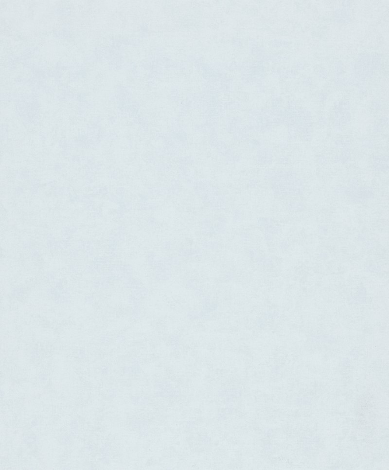 SHADES ICONIC - Dezen