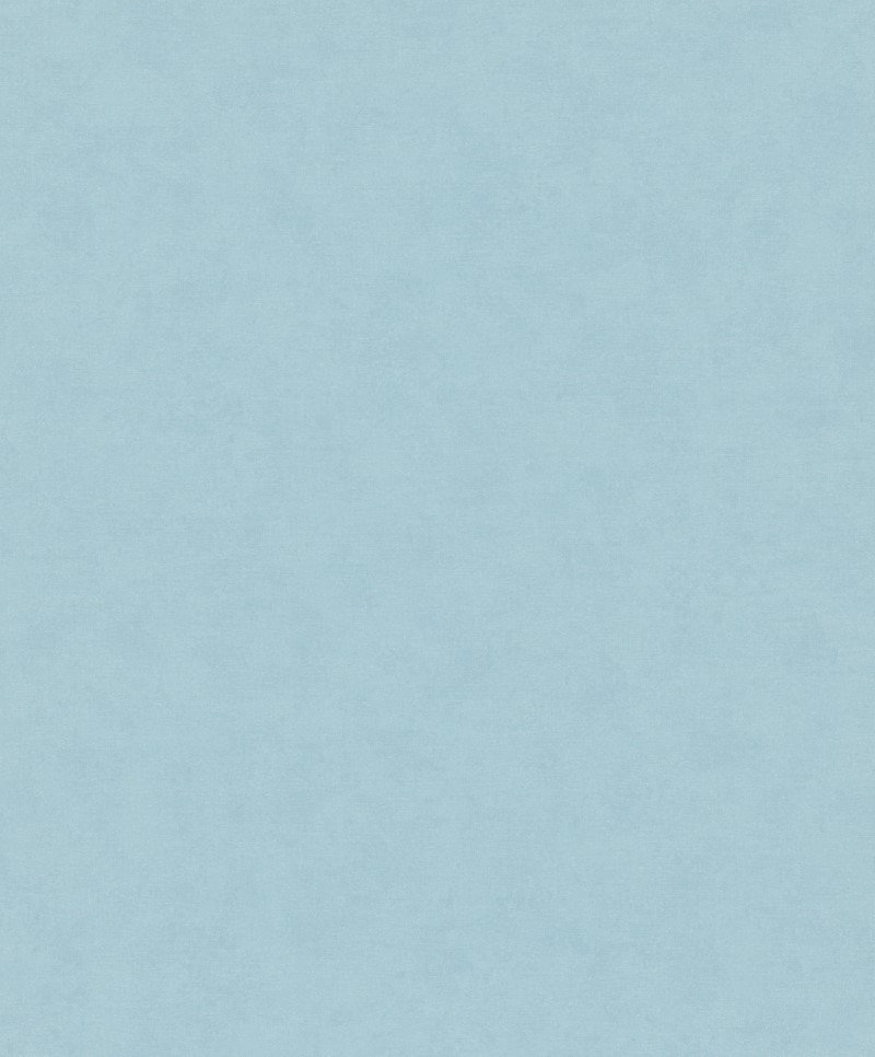 SHADES ICONIC - Dezen