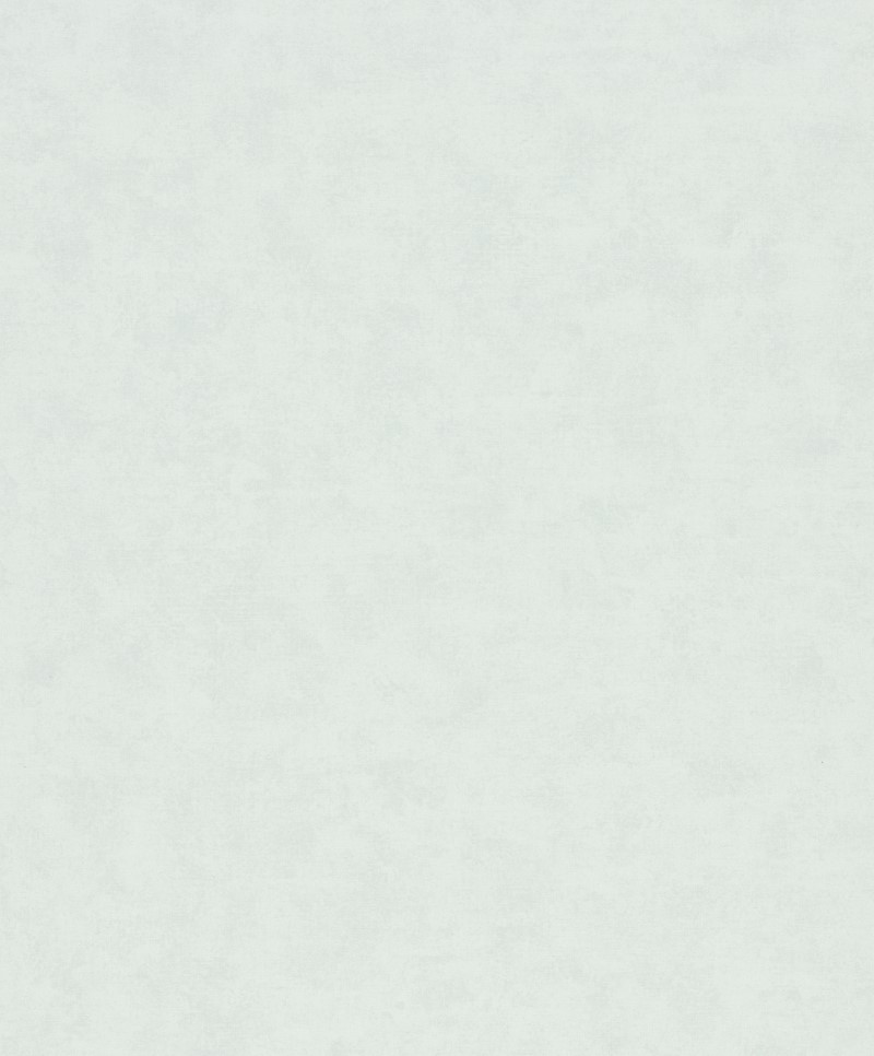 SHADES ICONIC - Dezen