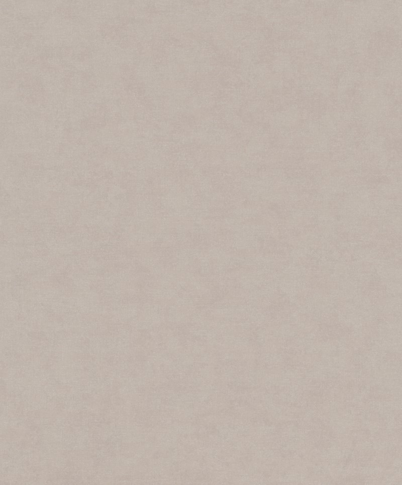 SHADES ICONIC - Dezen