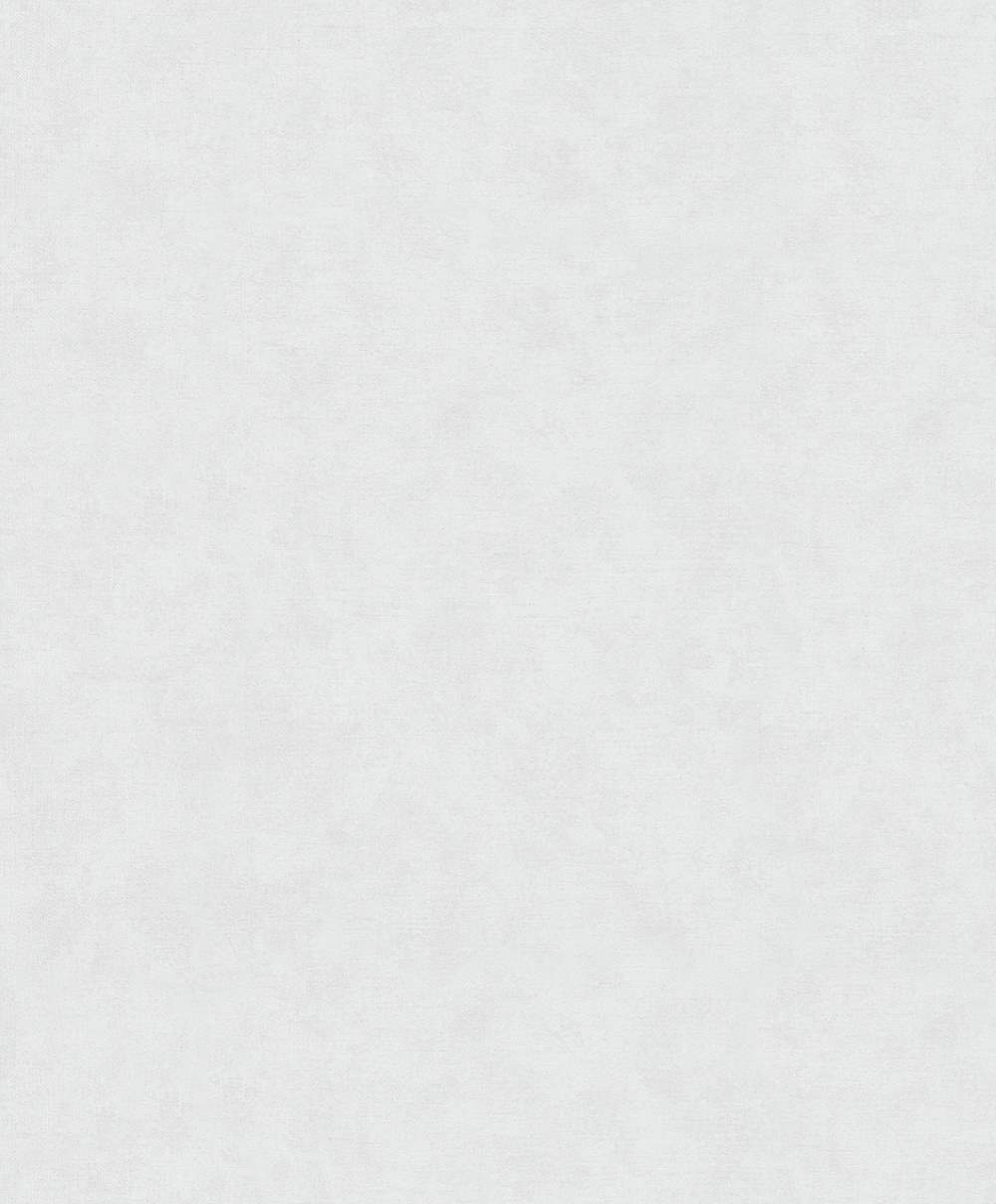 SPIRIT OF JUNGLE - Dezen