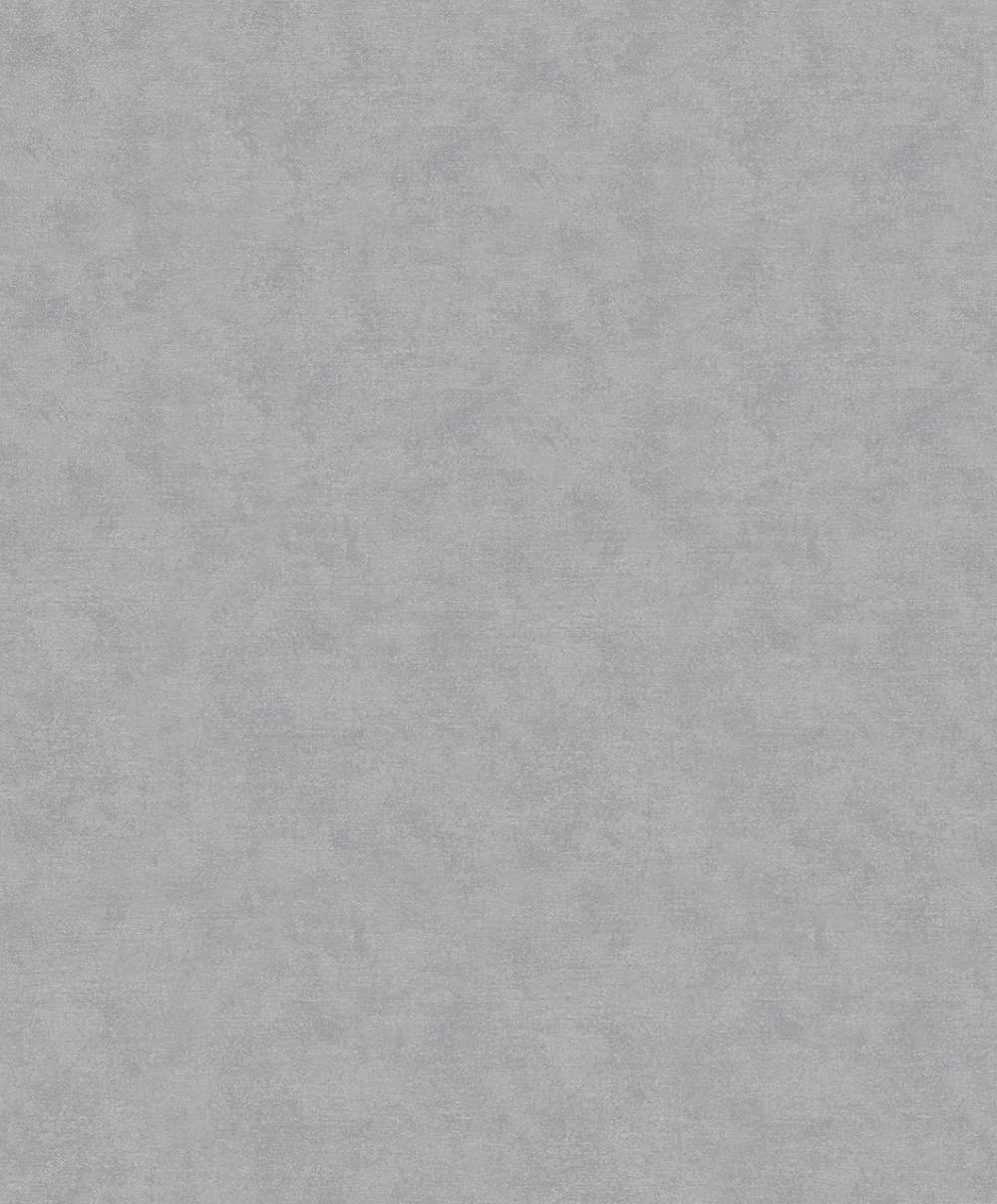 SPIRIT OF JUNGLE - Dezen