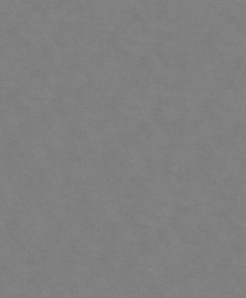 SPIRIT OF JUNGLE - Dezen