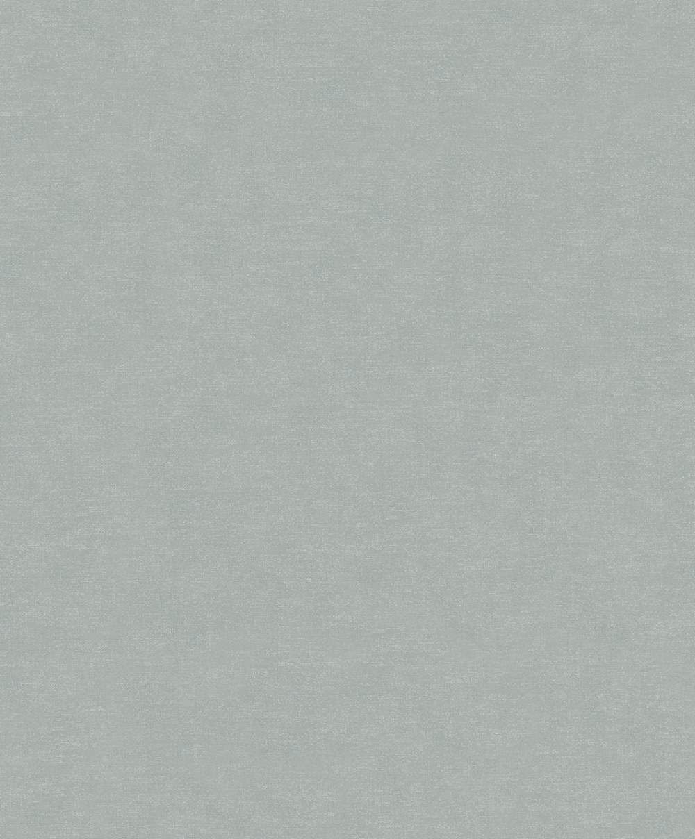 SPIRIT OF JUNGLE - Dezen