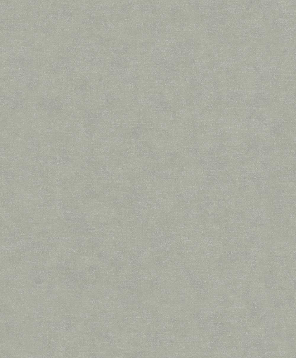 SPIRIT OF JUNGLE - Dezen