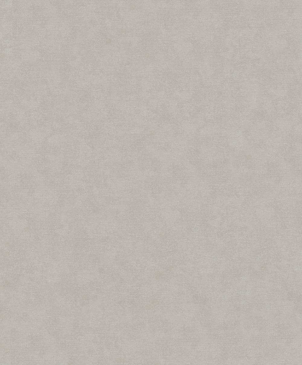 SPIRIT OF JUNGLE - Dezen