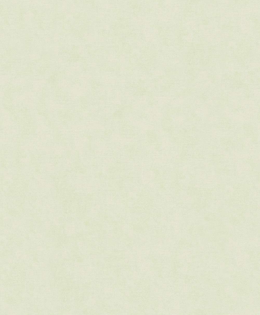 SPIRIT OF JUNGLE - Dezen