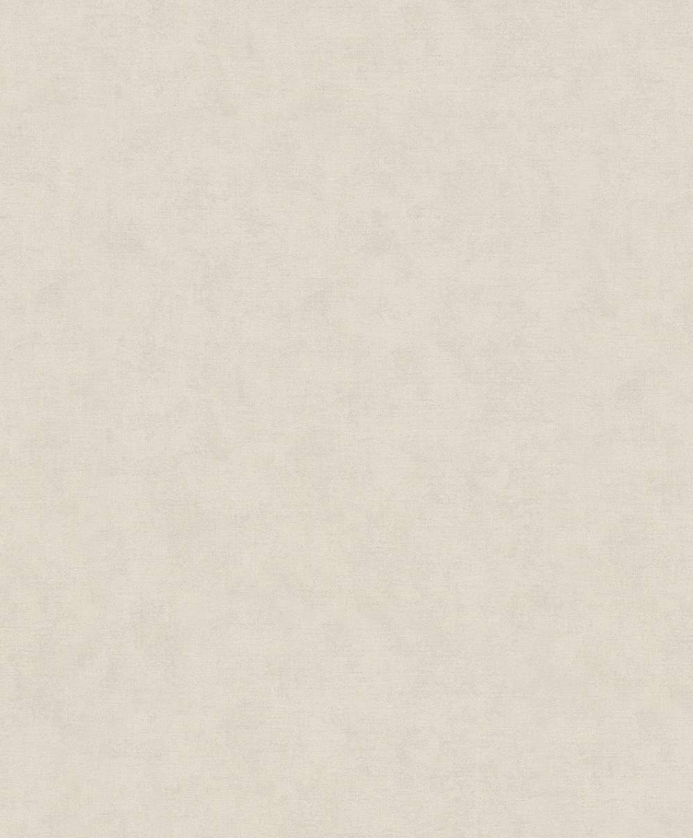 SPIRIT OF JUNGLE - Dezen