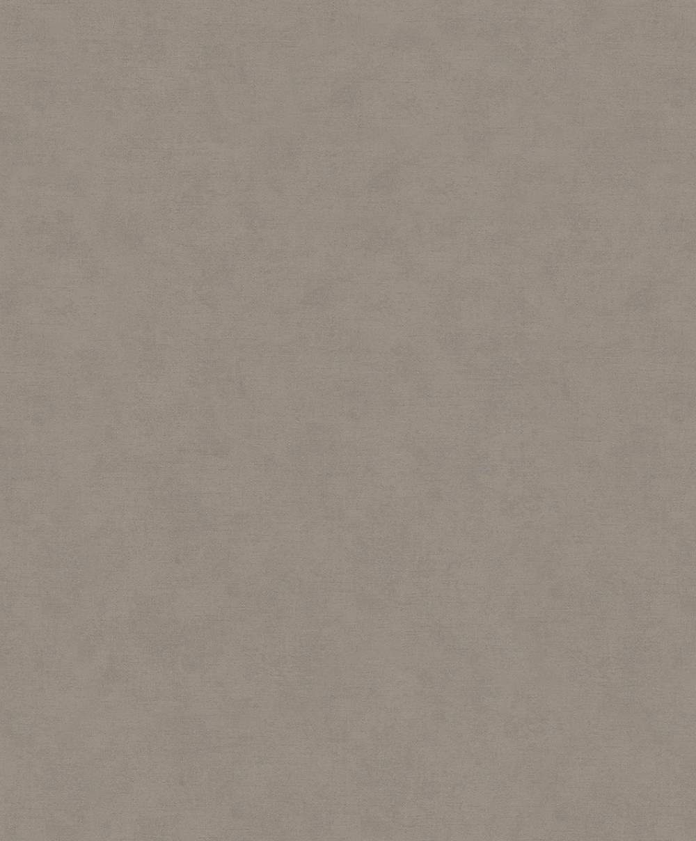 SPIRIT OF JUNGLE - Dezen