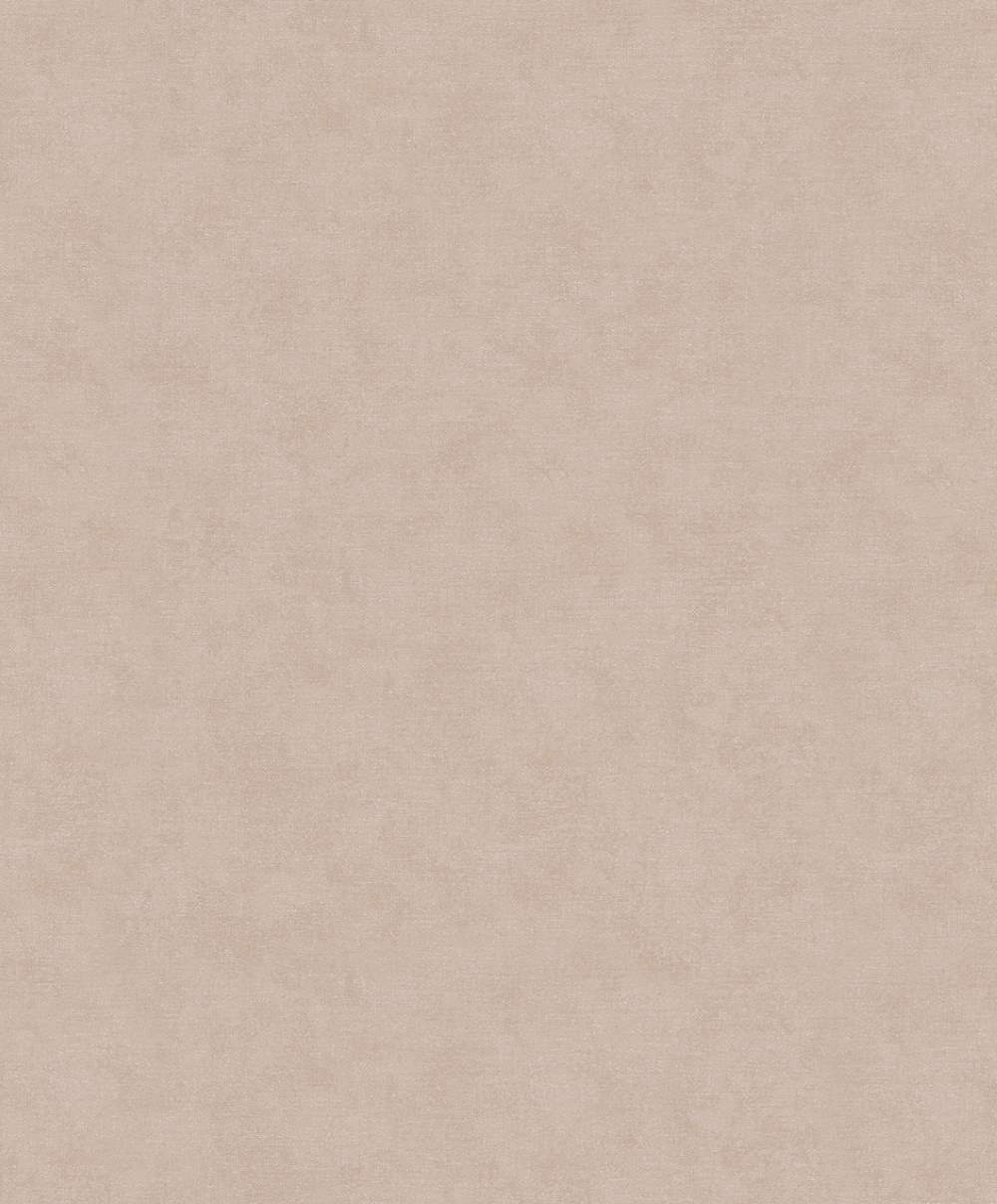 SPIRIT OF JUNGLE - Dezen