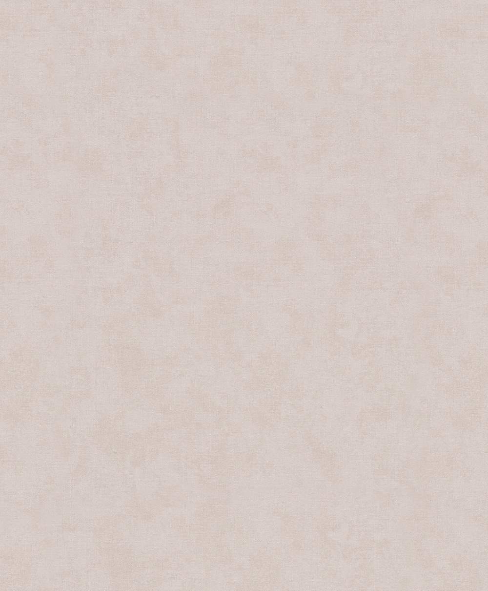 SPIRIT OF JUNGLE - Dezen