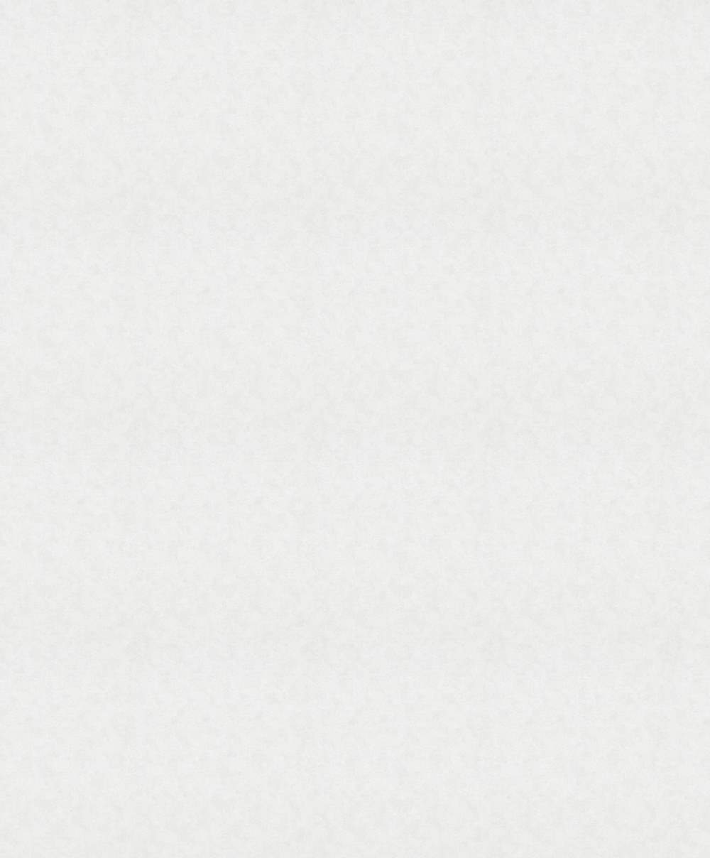 SPIRIT OF JUNGLE - Dezen