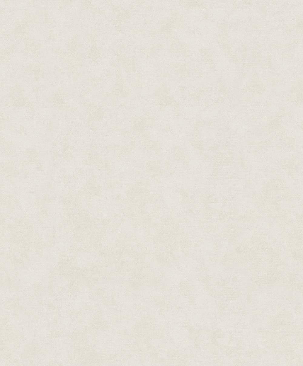 SPIRIT OF JUNGLE - Dezen