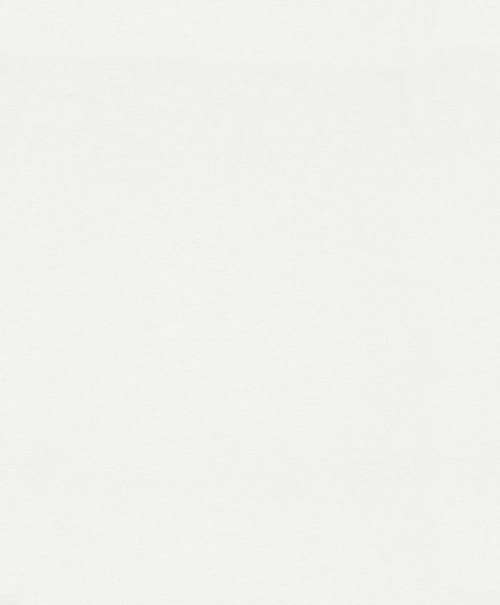 SPIRIT OF JUNGLE - Dezen